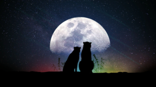 フラワームーン年5月きれいな満月の画像まとめ 由来は Hareworks
